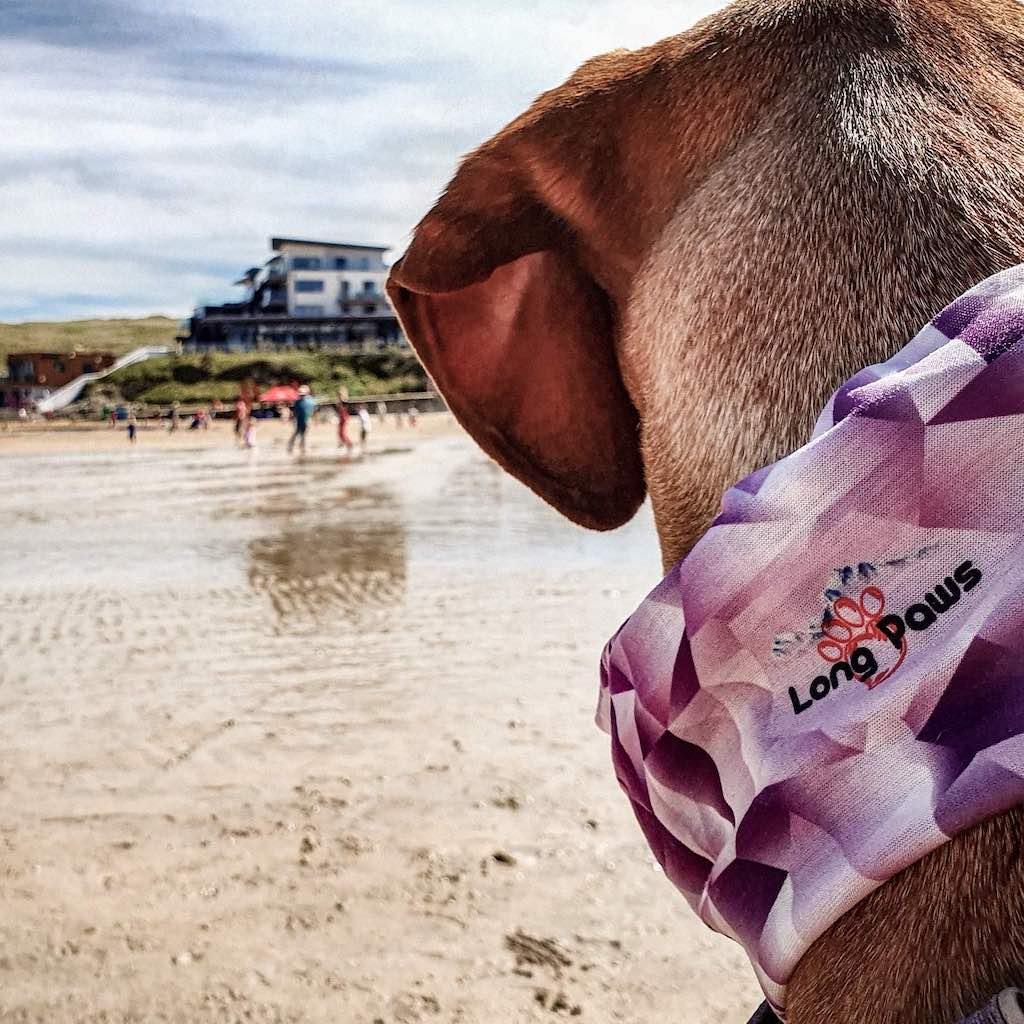 Dog Bandanas - Long Paws