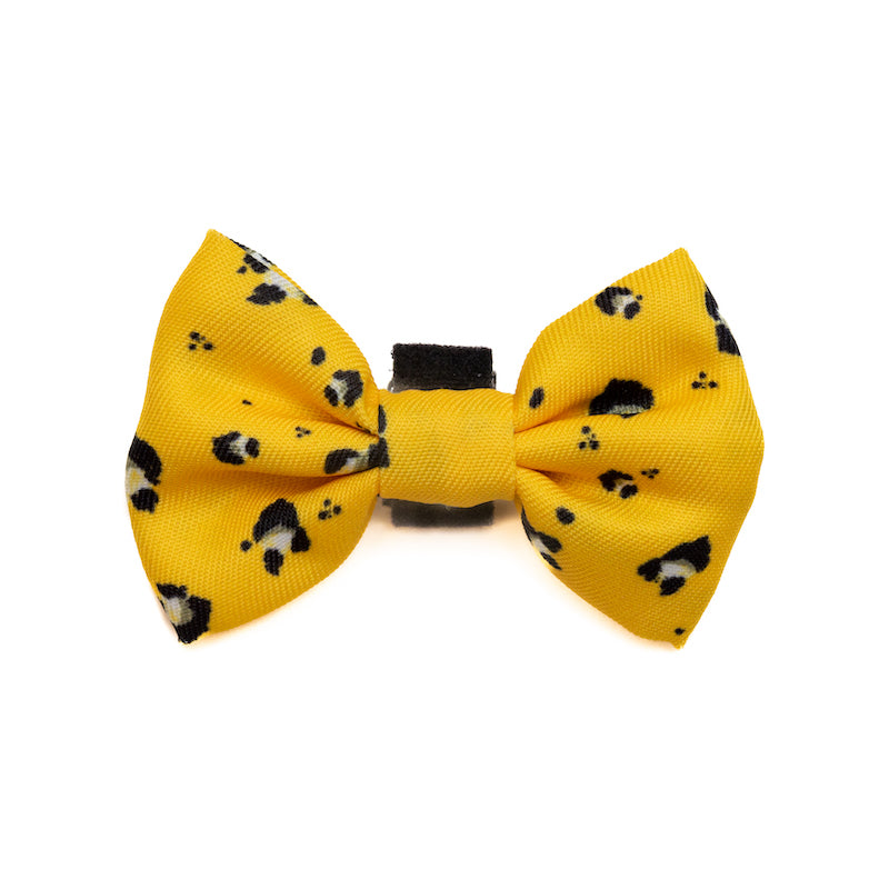 Funk the Dog Collar & Bow Set | Mustard Panda