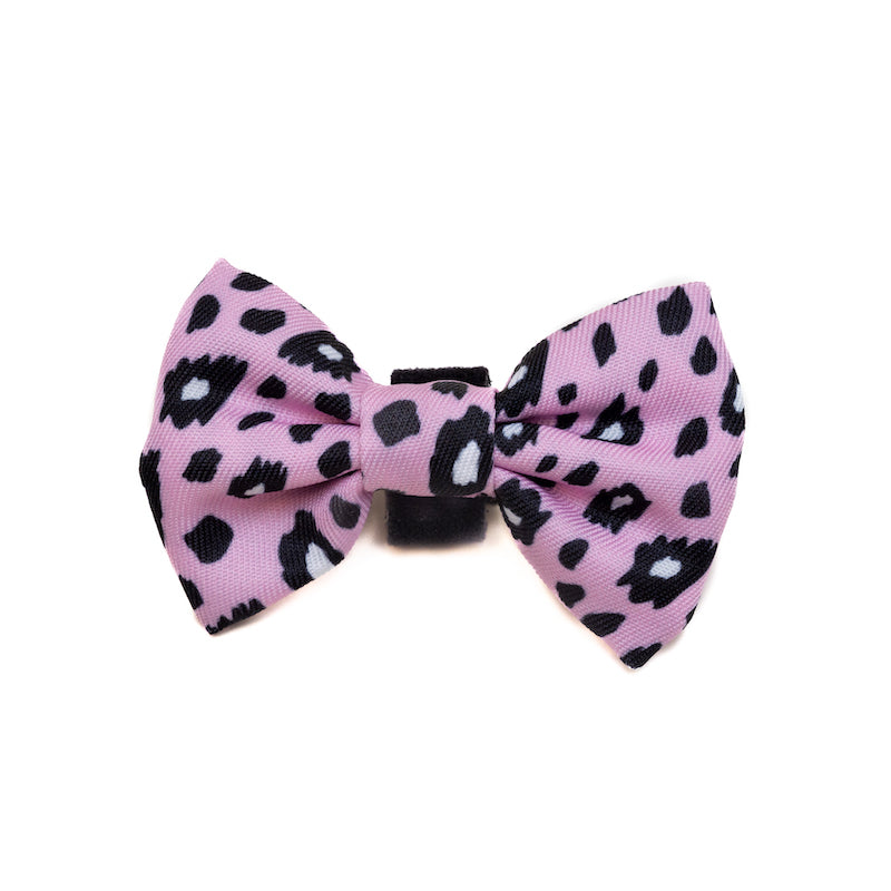 Funk the Dog Collar & Bow Set | Pink Leopard