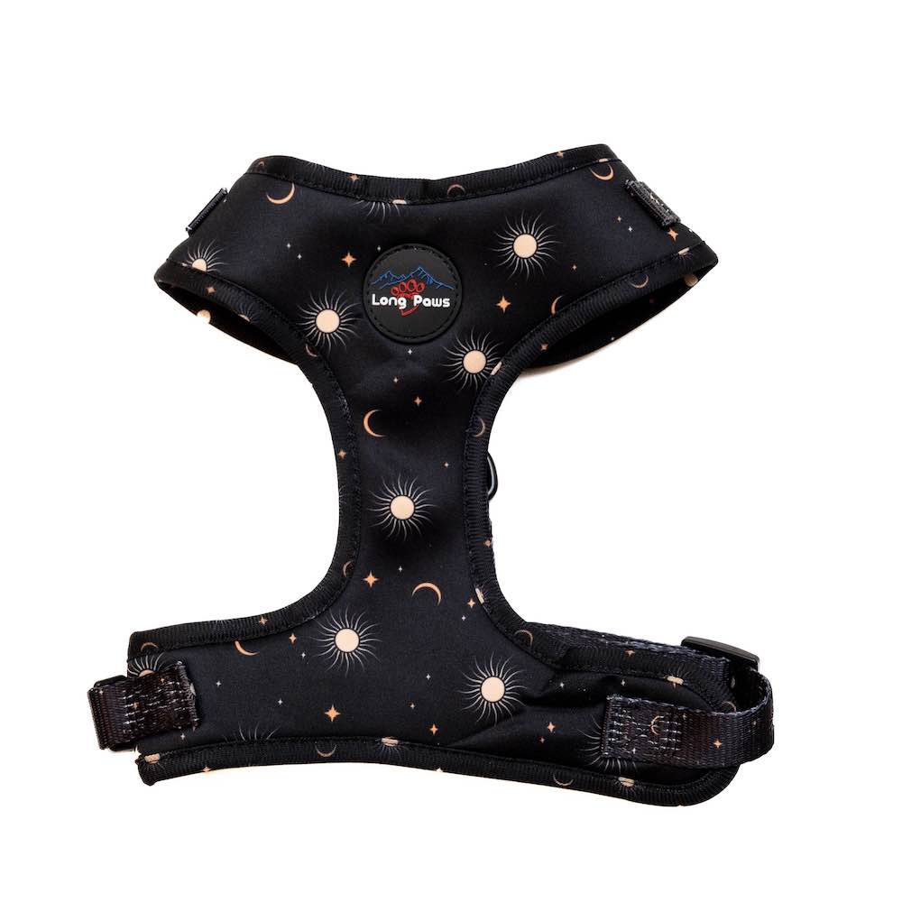 Funk the Dog Collar, Harness & Lead Set | Night Sky