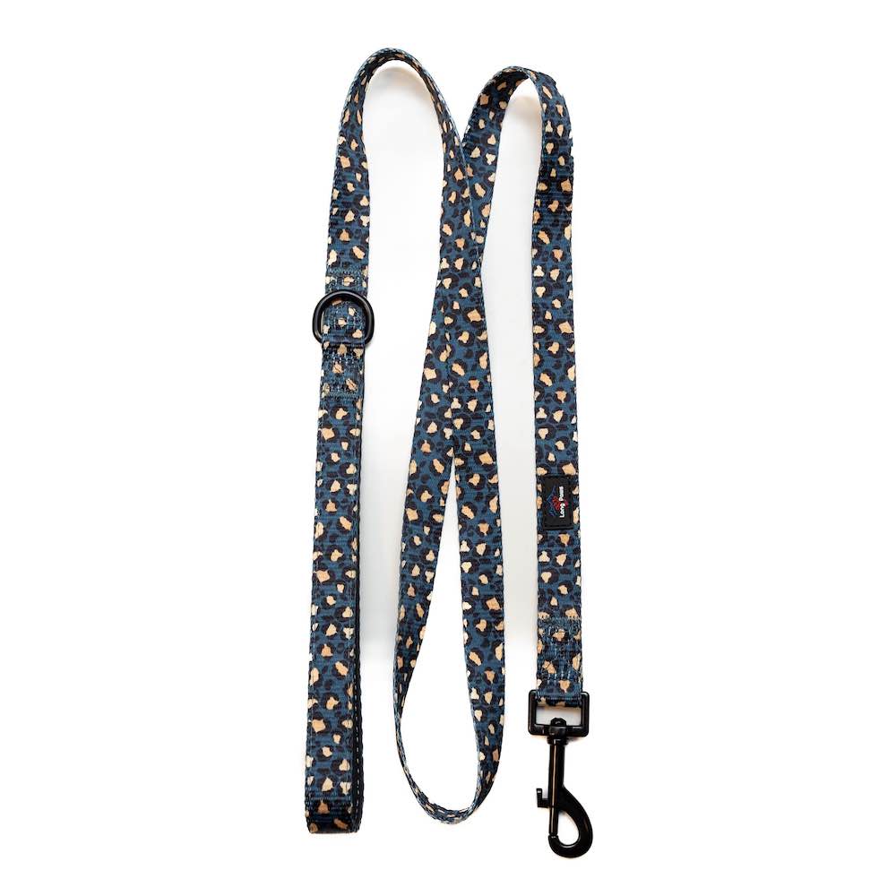 Funk the Dog Lead & Poo Bag Pouch Set | Leopard Green & Gold