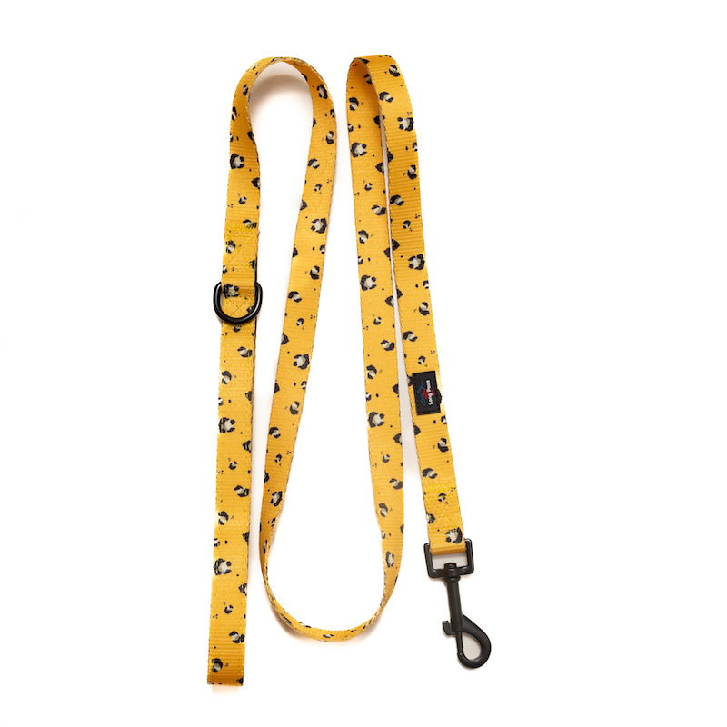 Funk the Dog Lead & Poo Bag Pouch Set | Mustard Panda