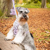 Funk the Dog Harness & Lead Set | Pink Leopard Dog Harness