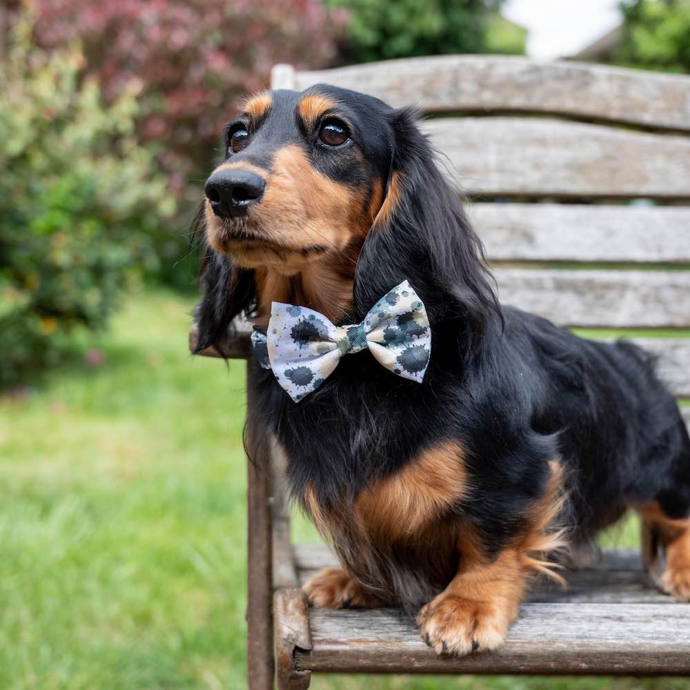 Funk the Dog Lead & Bowtie Set | Paint Splodge Grey, Green, Yellow & White