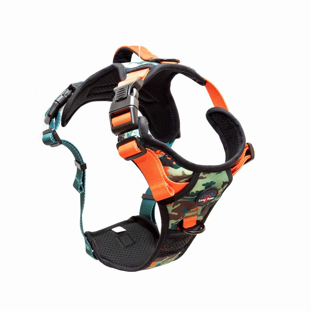 Technical Harness