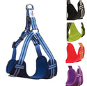 Comfort Rope Lead & Harness Set - Long Paws