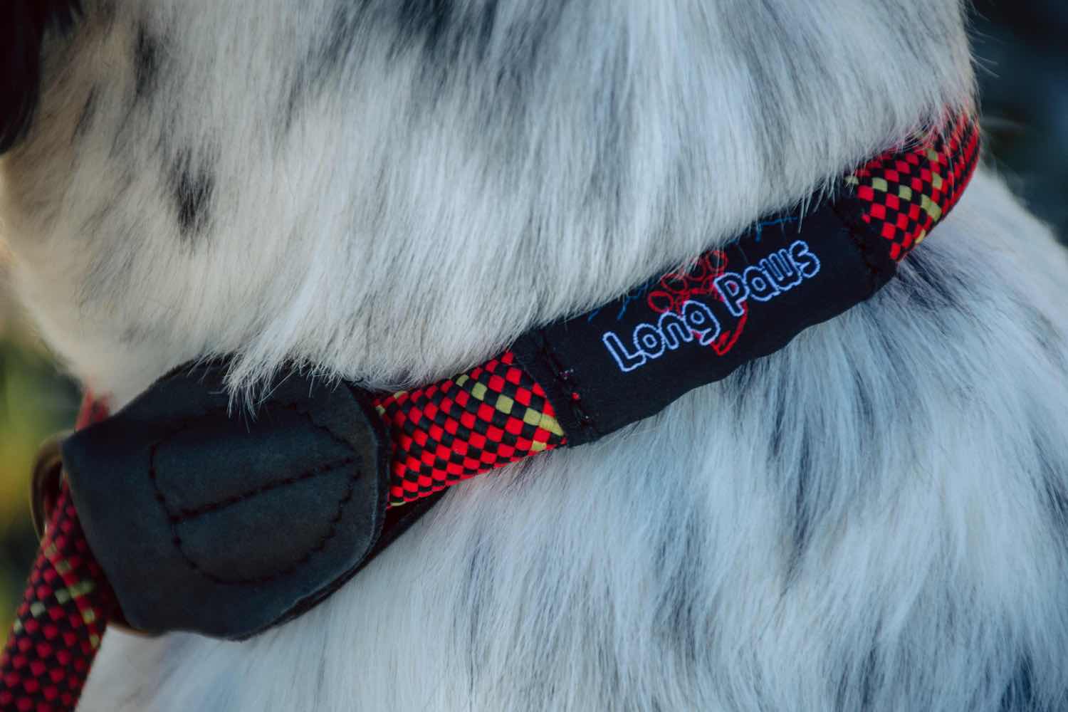 Rope Slip Lead