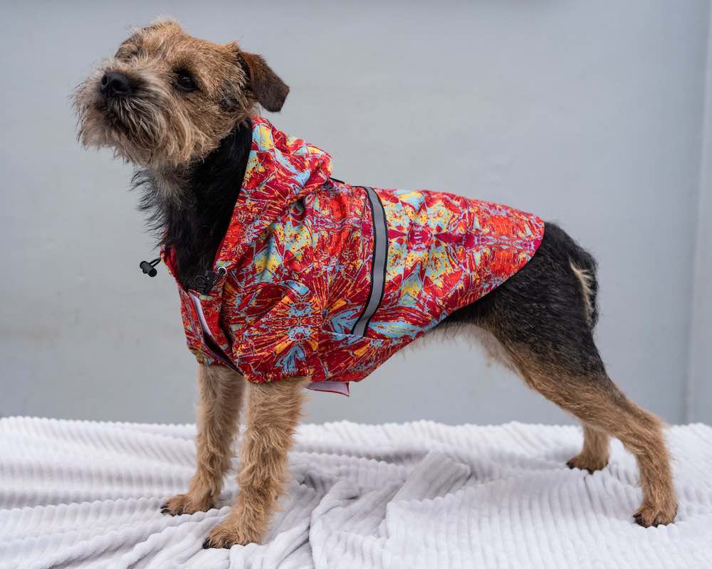 Dog Raincoat
