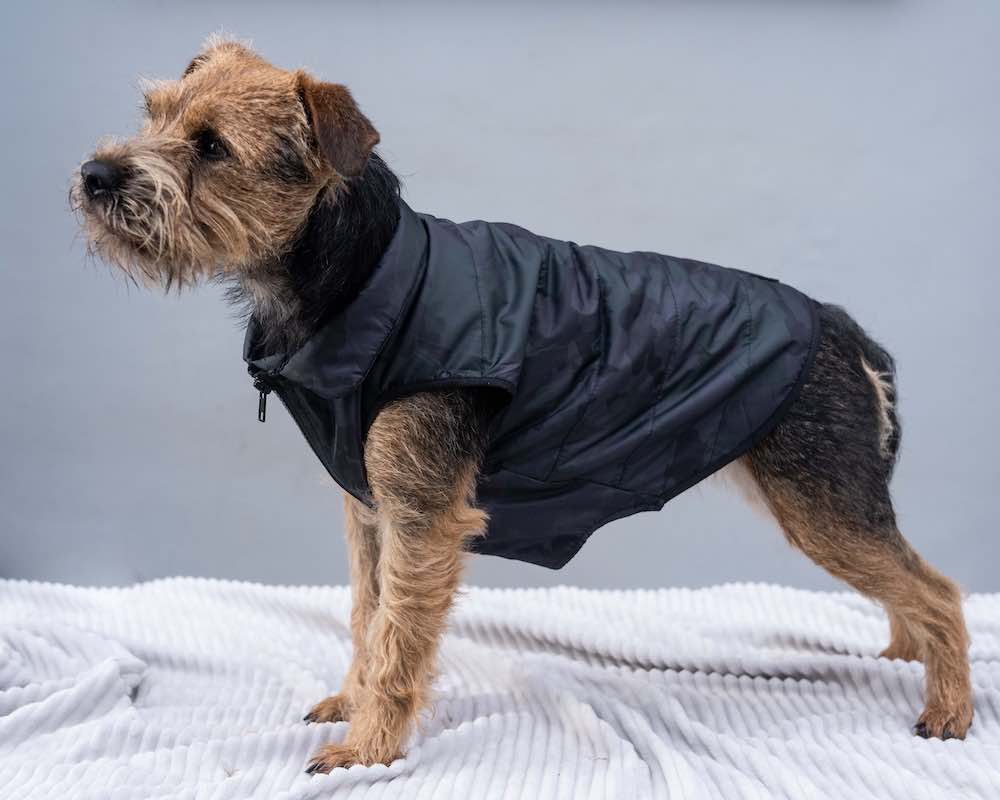 Warm Pup Bomber Jacket