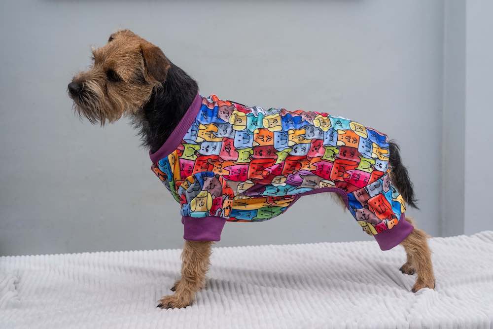 Warm Doggie Lesure Suit