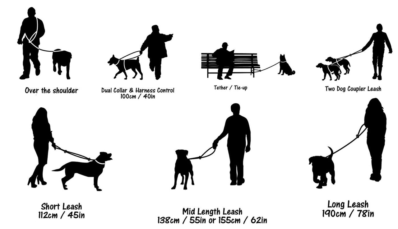 Long paws multi function training lead 4b