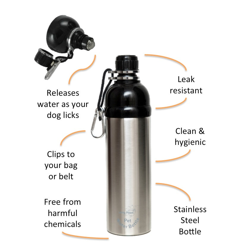 Releases Water as Your Dog Licks