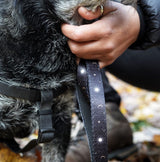 Funk the Dog Lead & Bowtie Set | Night Sky
