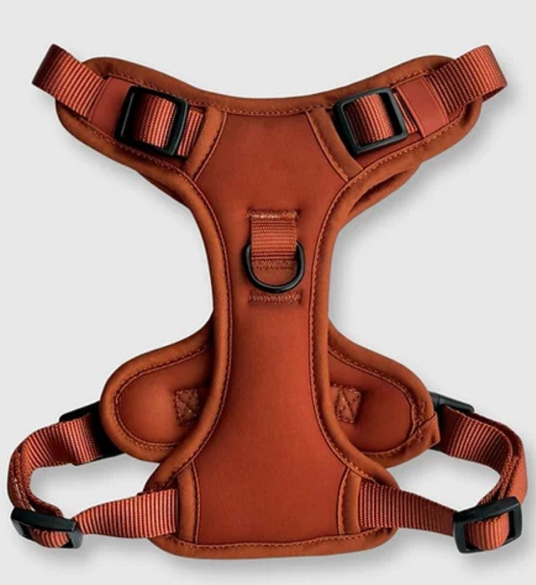 Soft Lycra or Neoprene Technical Harness