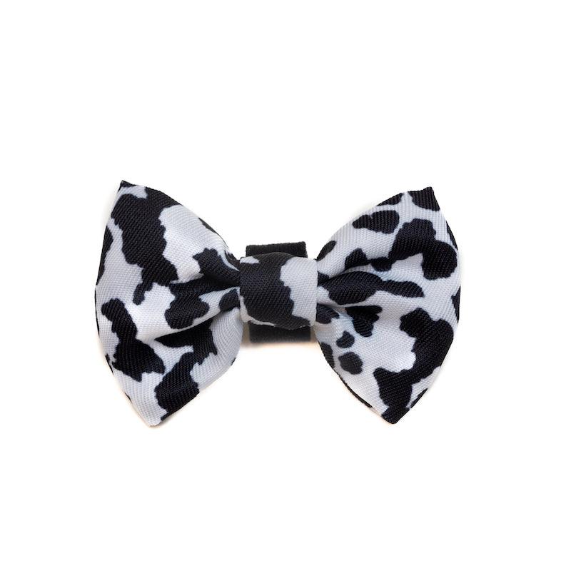 Dog print discount bow tie