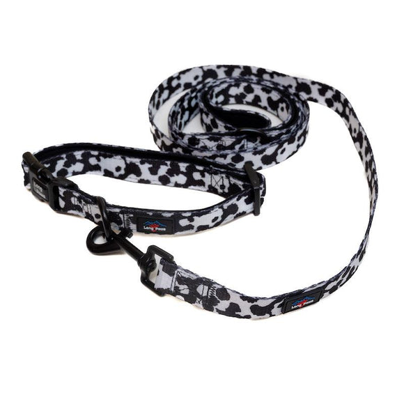 Cow Print  Dog Lead 2