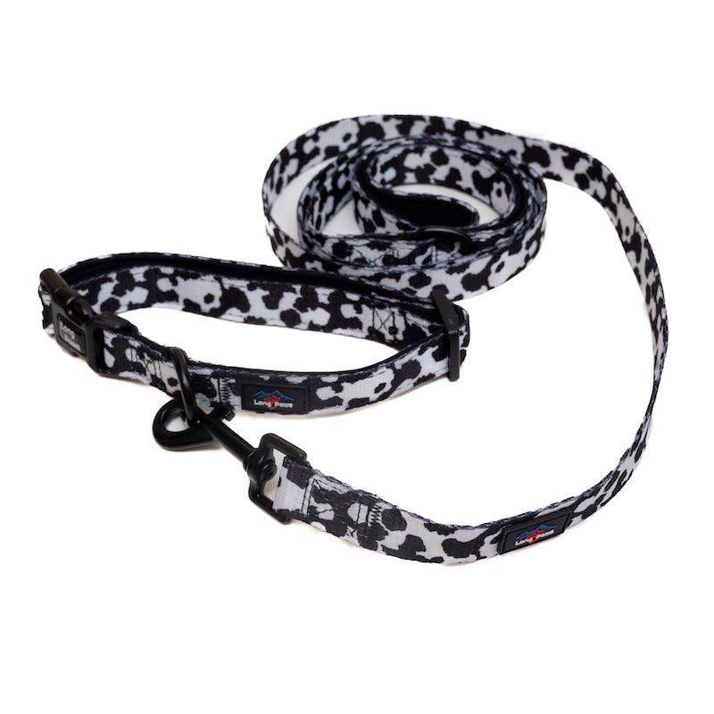 Cow PrintDog Lead 2