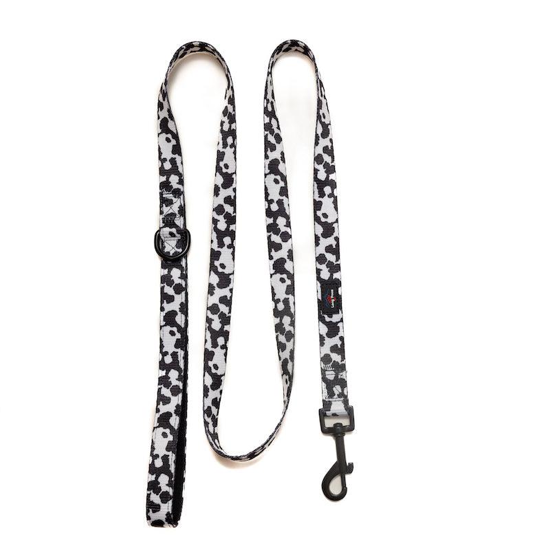 Cow PrintDog Lead 1