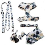 Funk the Dog Collar | Paint Splodge Grey - Long Paws