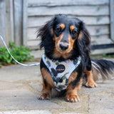 Funk the Dog Harness & Lead Set | Paint Splodge Grey, Green, Yellow & White