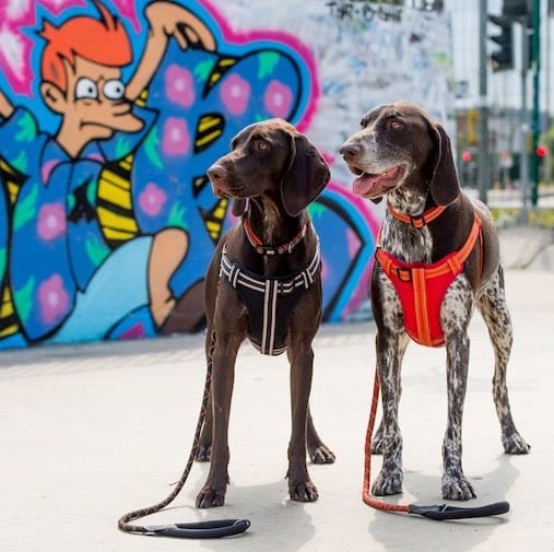 Comfort Rope Lead | TRIGGER Clip | Orange 120cm