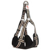 Long Paws Comfort Step-In Dog Harness - Black
