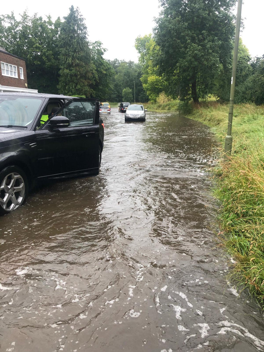 What a Storm That Was! - Long Paws