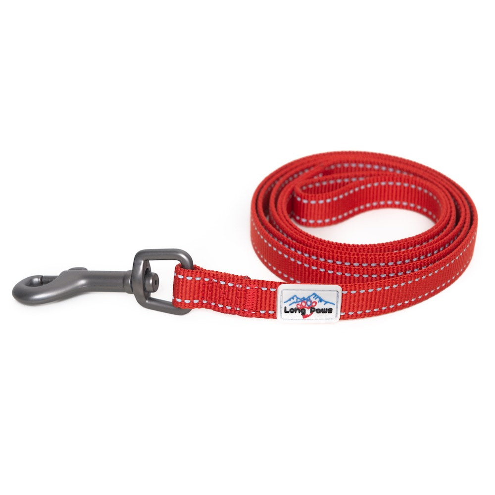 Red Dog Leads