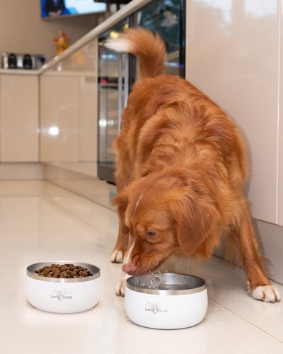 Lunar Dog Bowls - Food & Water Bowl Set - White - 0