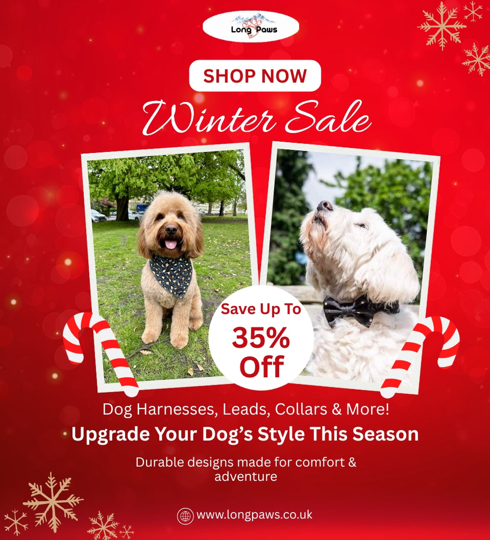 35 f54624cd e2fb 4f15 85c8 7adf2437ded4