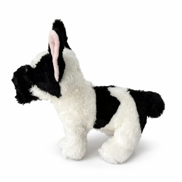 French Bulldog + Bundle