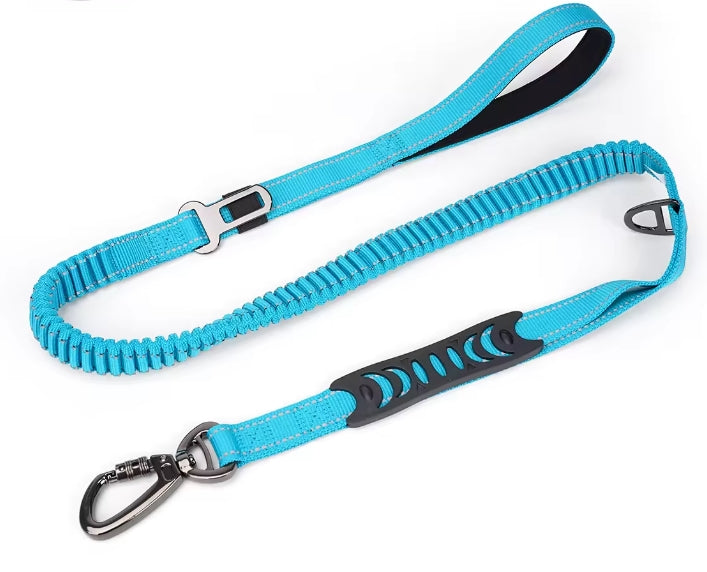 Bungee lead