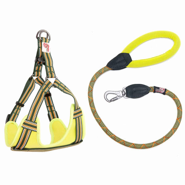 Comfort Slide Lock Rope Lead (75cm/110cm) & Reflective Step-in Harness Set