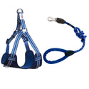Comfort Slide Lock Rope Lead (75cm/110cm) & Reflective Step-in Harness Set