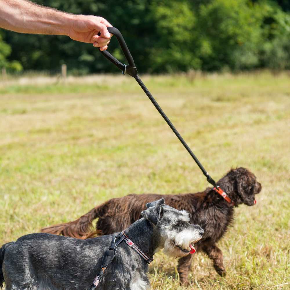 Reflective Collar with matching Black Comfort Trigger Hook Rope Lead (80/120cm) Set, All Black