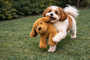 Muttley Crew Golden Doodle Shaped Dog Toy, XL-4
