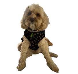 Funk The Dog Harness | GoldBlack Leopard - 0