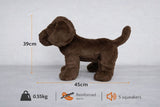 Choc Lab Retriever + Bundle