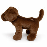 Muttley Crew Chocolate Labrador Shaped Dog Toy, XL