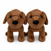 Choc Lab Retriever + Bundle