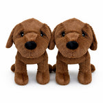 Choc Lab Retriever + Bundle