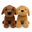 Choc Lab Retriever + Bundle-2
