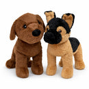 Choc Lab Retriever + Bundle-3