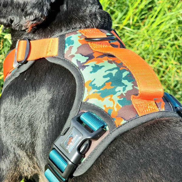 Earth Friendly - Trig Point Harness and Lead Set
