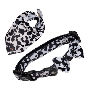 Funk the Dog Collar, Bowtie & Bandana Set | Cow Print