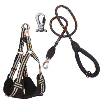 Harness & Lead Sets and Bundles