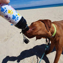 Dog Water Bottle, Lick 'n Flow, Paws