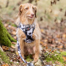 Funk the Dog Harness & Lead Set | Black & White Footballs-2