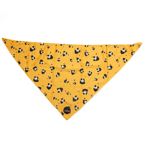 Funk the Dog Collar, Bowtie & Bandana Set | Mustard Panda