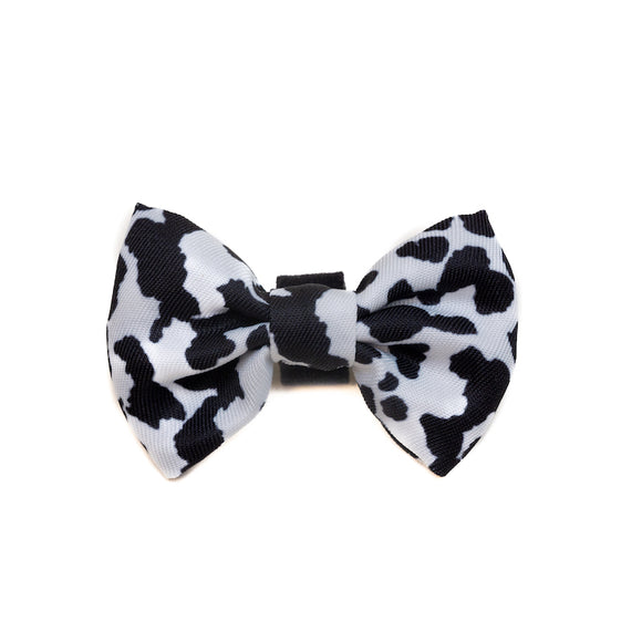 Funk the Dog Collar, Bowtie & Bandana Set | Cow Print